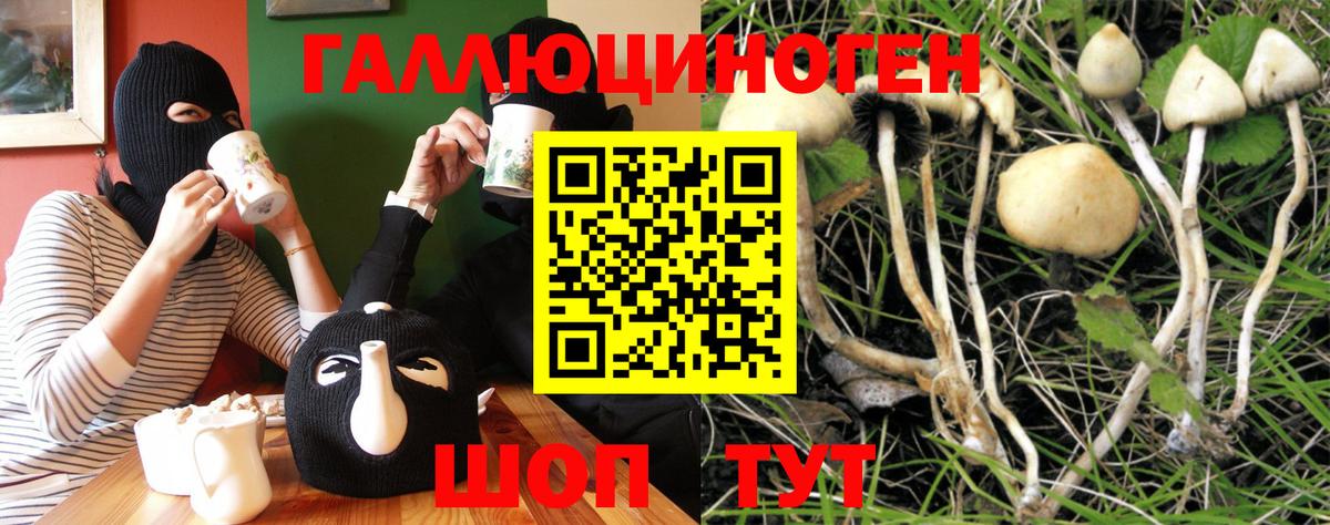 Галлюциногенные грибы мухоморы Бугуруслан
