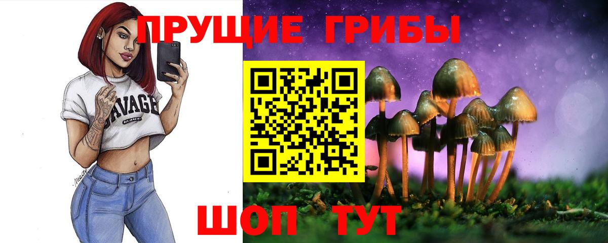 Галлюциногенные грибы мухоморы  Вход с VPN  Галлюциногенные грибы Psilocybe  Бугуруслан 