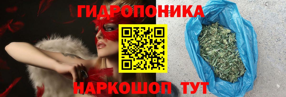 Марихуана сатива Бугуруслан